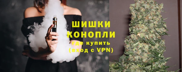 гидра Снежногорск