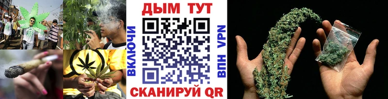 Канабис сатива  даркнет сайт  Красный Холм 